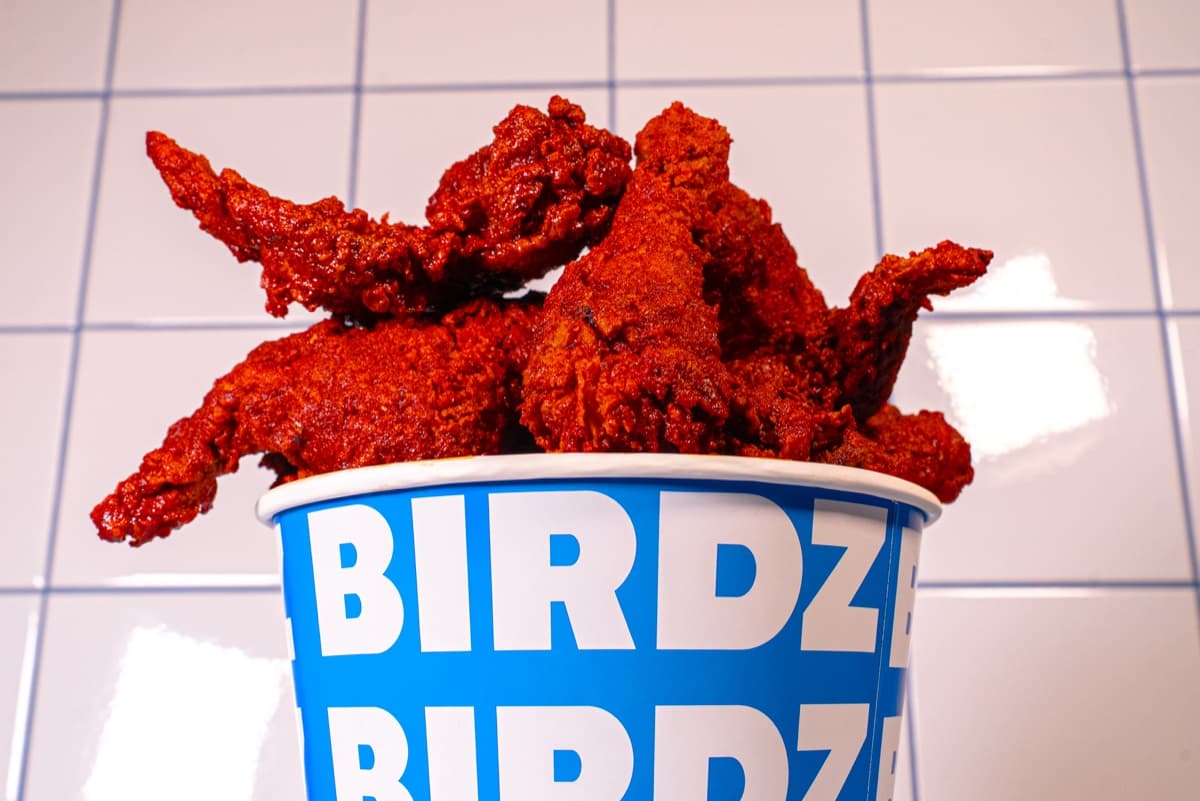 Birdz — 4